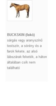 BUCKSKIN (fakó)