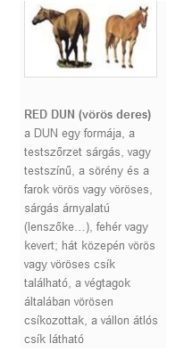 RED DUN (vörös deres)